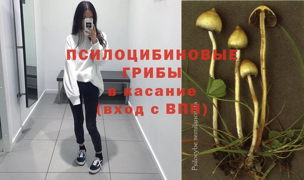 a pvp Приозерск
