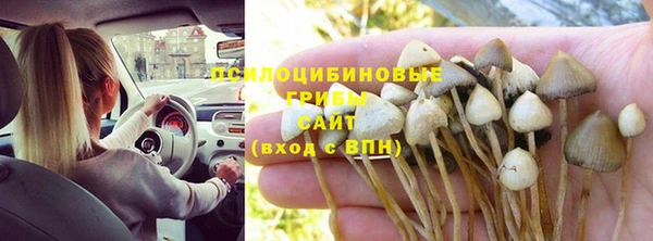 мескалин Зеленокумск