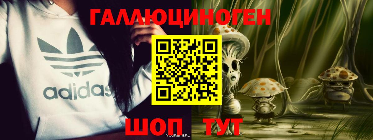 Галлюциногенные грибы Psilocybine cubensis Слободской